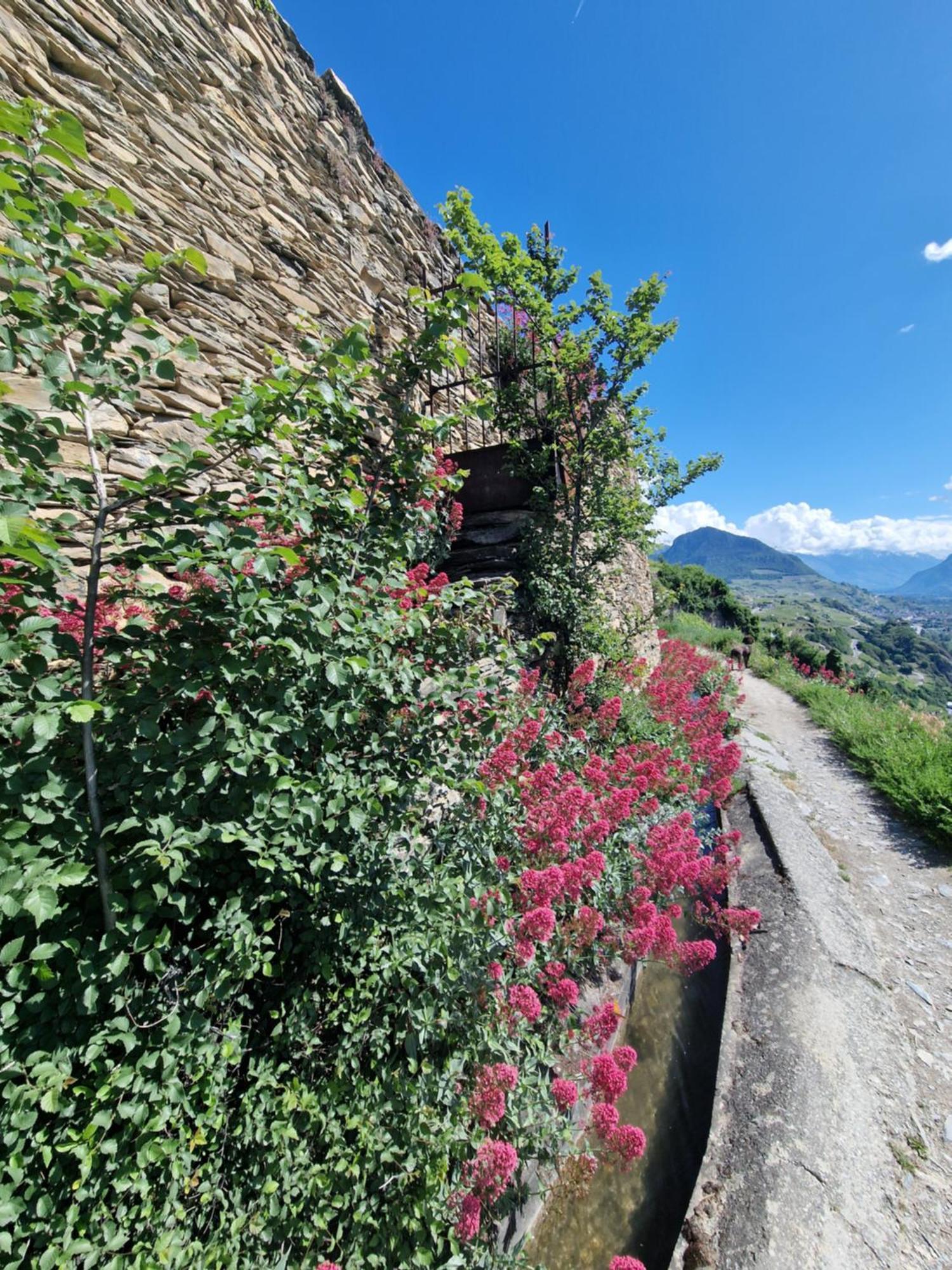 Bella Flocon Appartements Min 2 Nights Special Weekly And Monthly Prices (Adults Only) Savièse Exterior foto